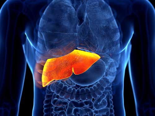 Hepatitis B
