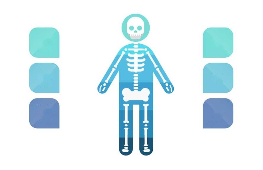 Skeleton illustration with factors affecting body posture
