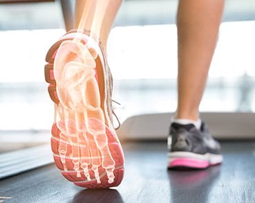 Illustration of foot bones while walking